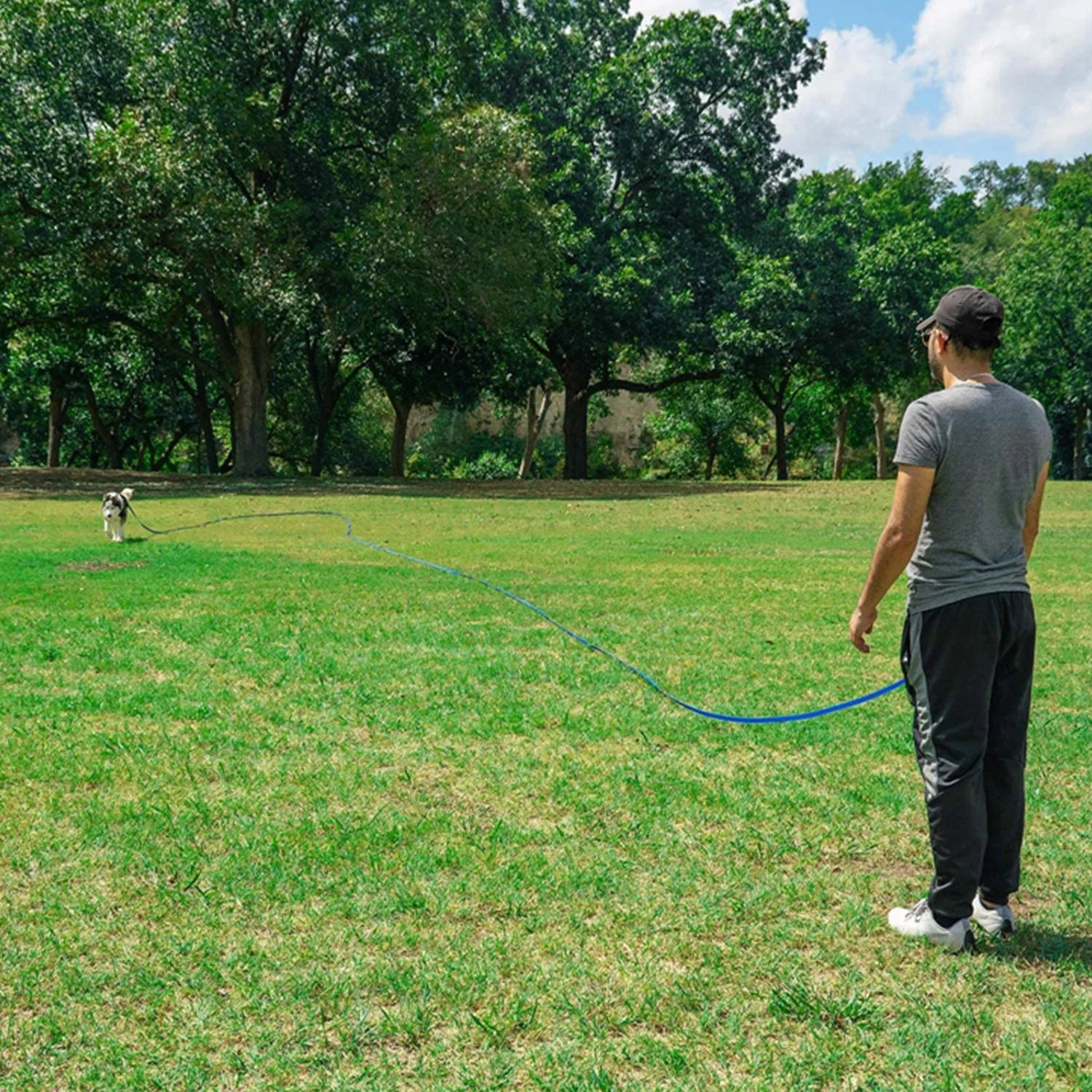 Long Dog Leash Obedience Recall Training Agility Lead - 15Ft 20Ft 30Ft 50Ft 100Ft Play Pink