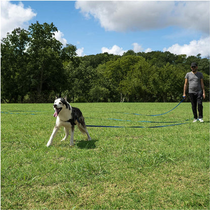 Long Dog Leash Obedience Recall Training Agility Lead - 15Ft 20Ft 30Ft 50Ft 100Ft Training Leash - Great for Training, Play, Camping, or Backyard - Orange 100Ft