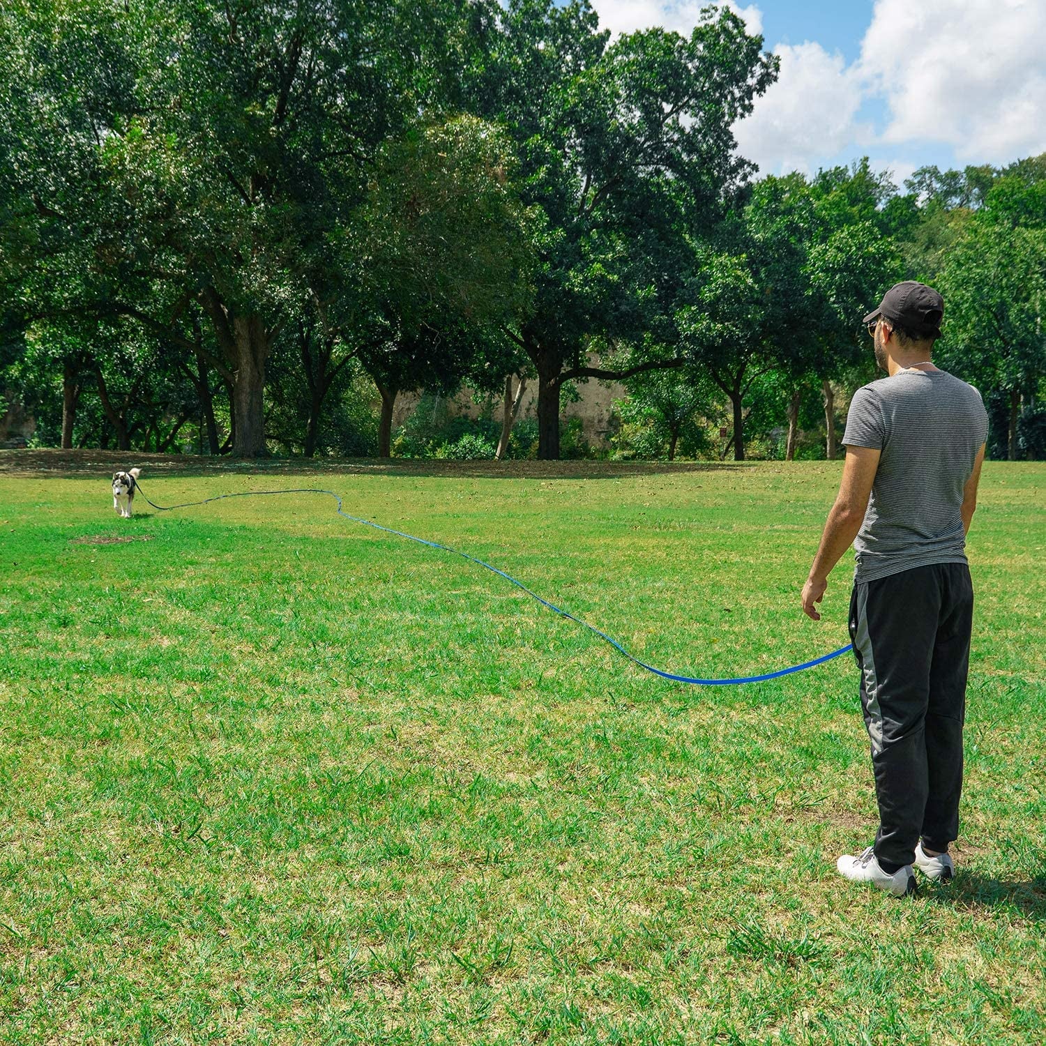 Dog/Puppy Obedience Recall Training Agility Lead - 15Ft 20Ft 30Ft 50Ft 100Ft Training Leash - Great for Training, Play, Camping, or Backyard Purple 100 Feet